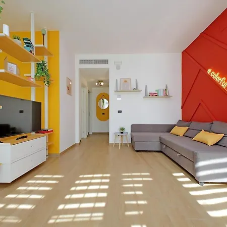The Color House